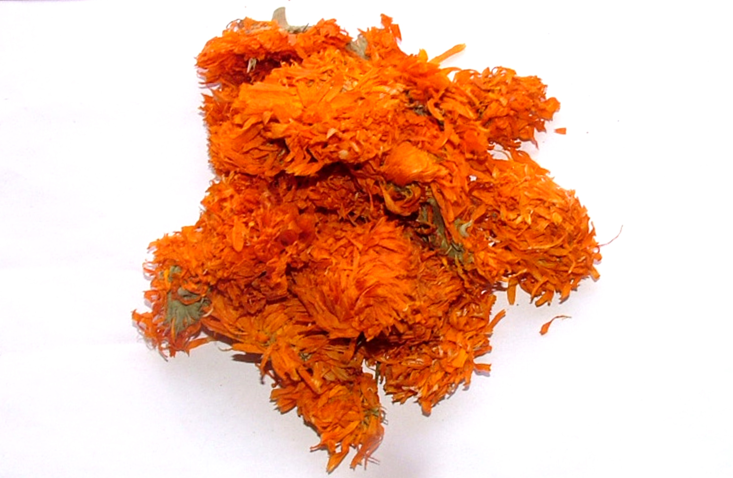 Calendula Flowers