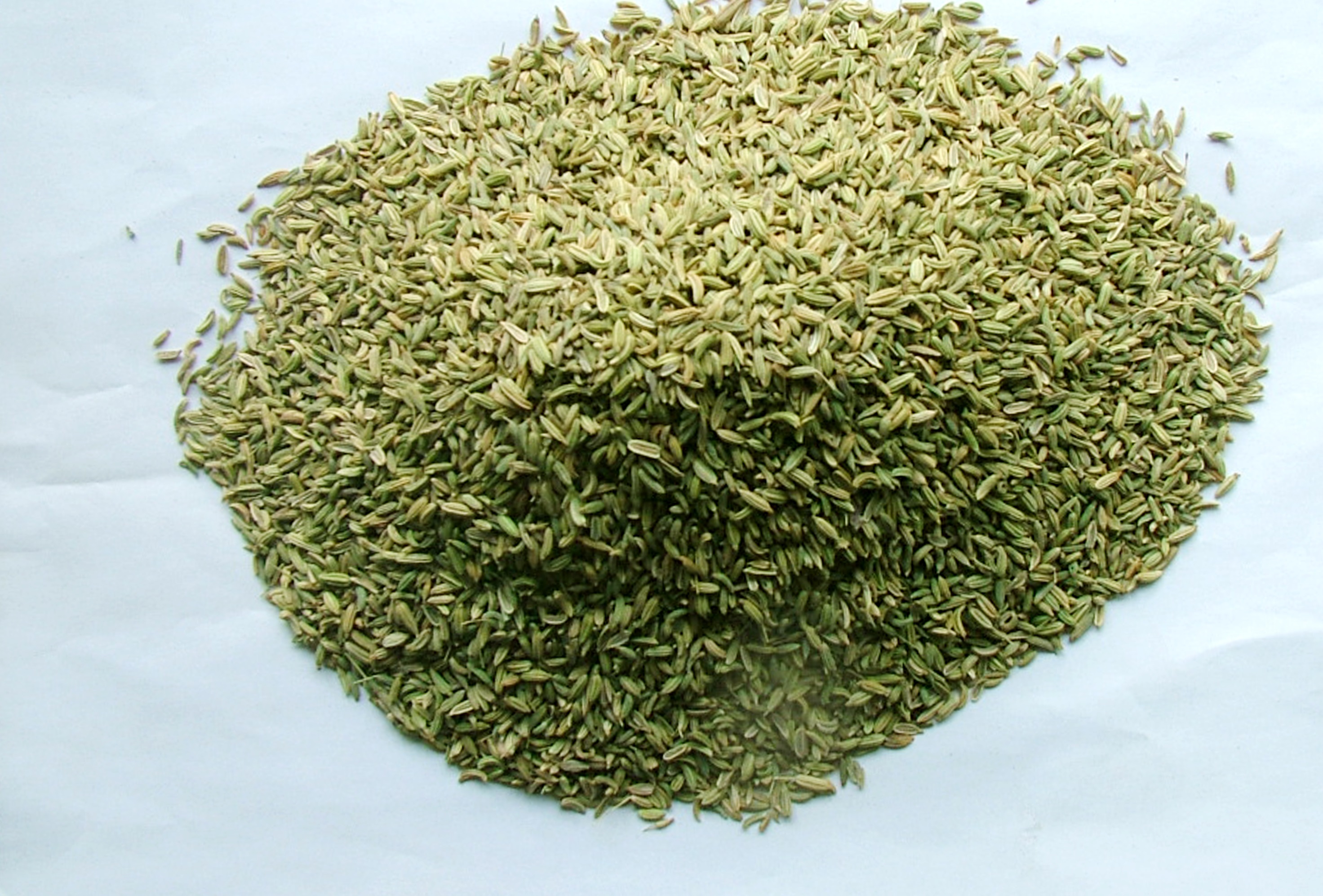 Fennel Seeds