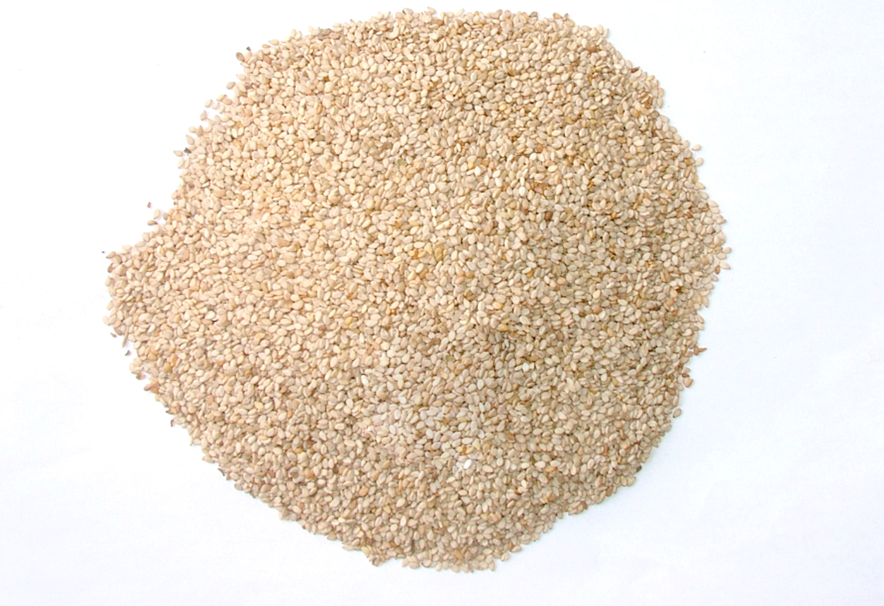 White Sesame Seeds