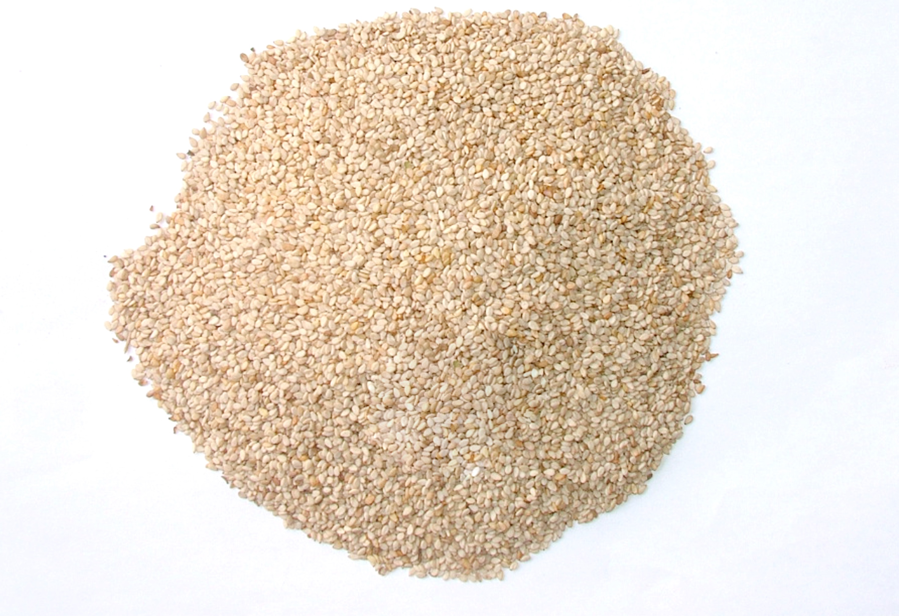 White Sesame Seeds