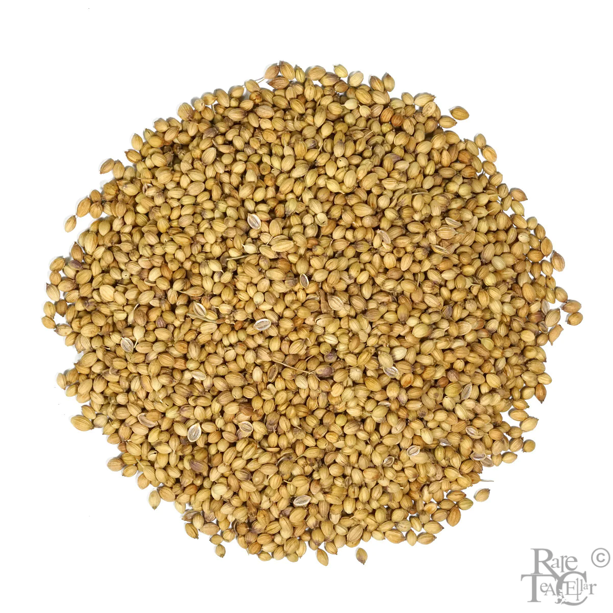 Coriander Seeds