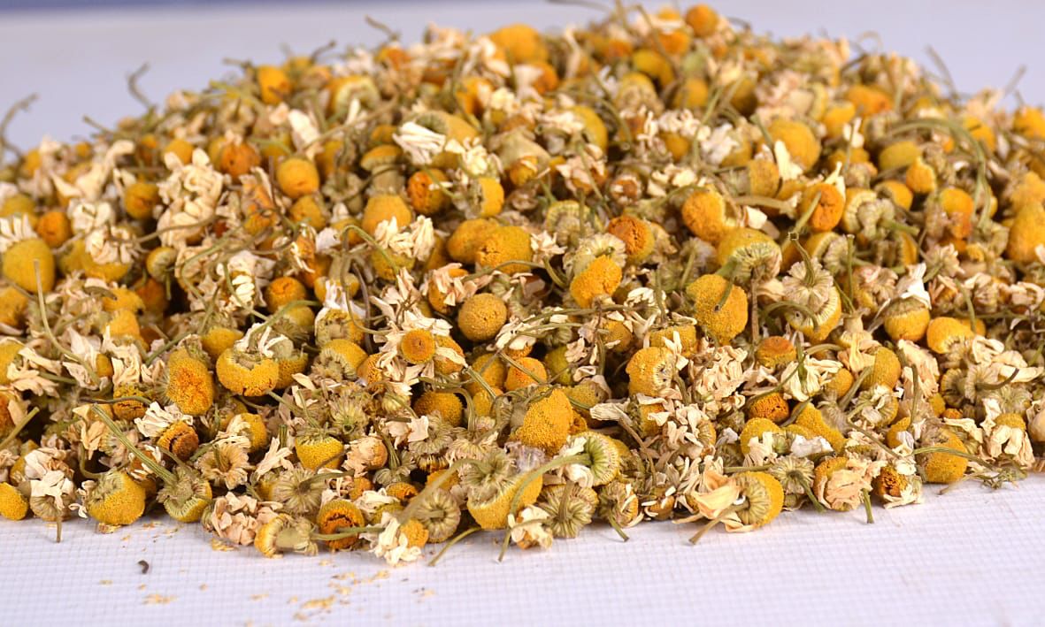 Chamomile Flowers