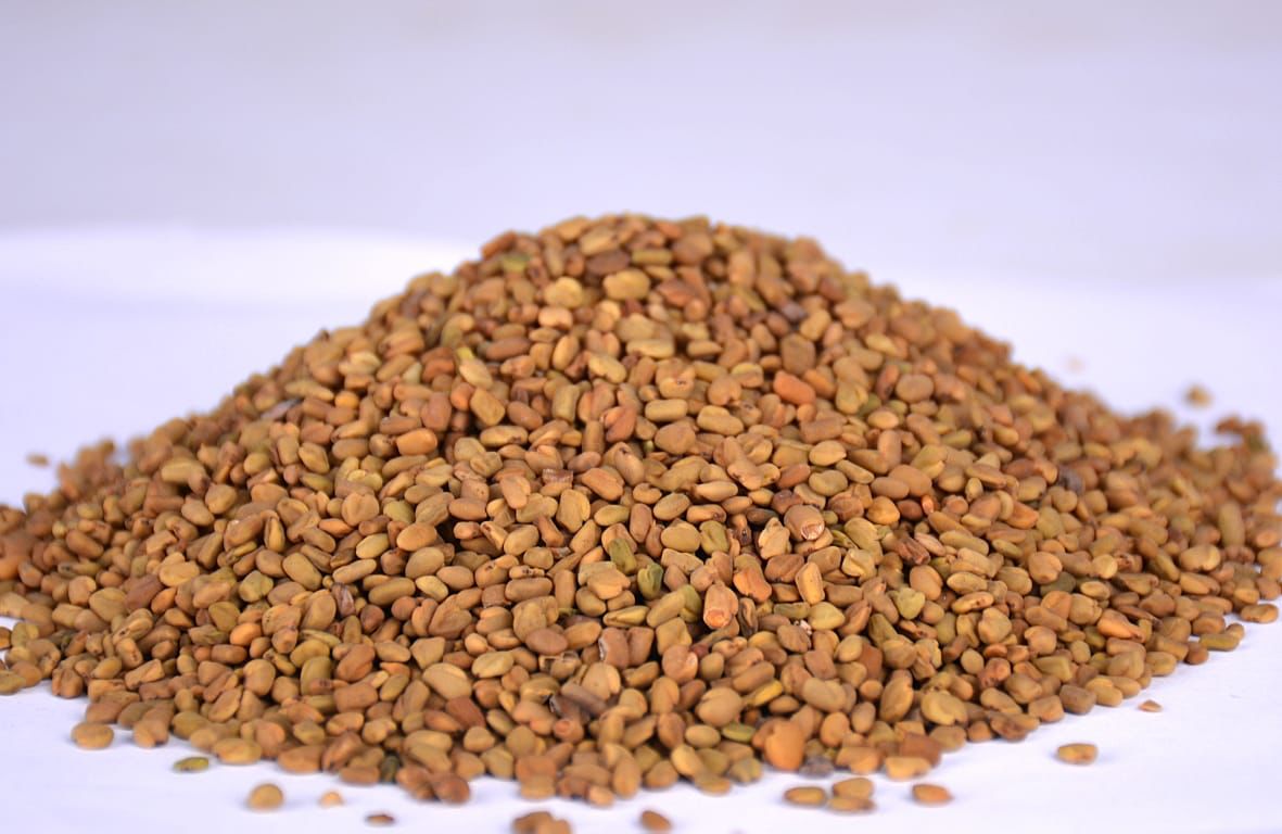 Fenugreek Seeds