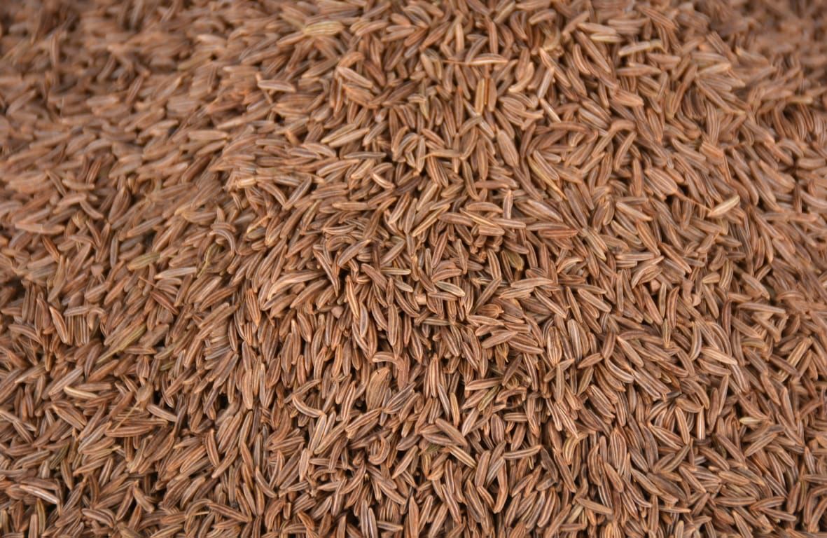 Caraway Seeds