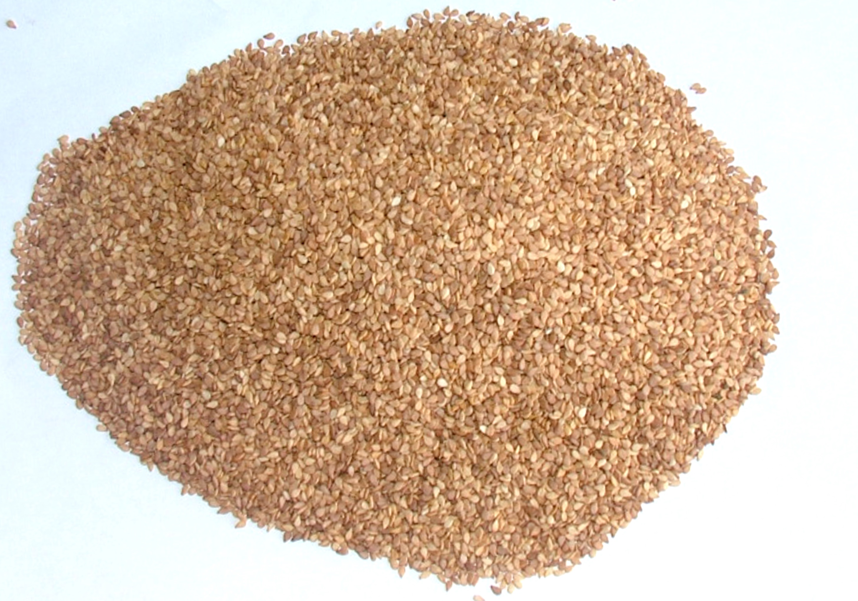 Yellow Sesame Seeds